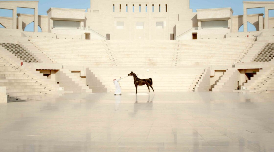 Katara international Arabian Horses Festival